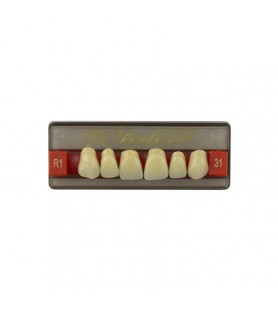 Estetic zęby akrylowe przednie górne fason 31, kolor R1, 6 szt.