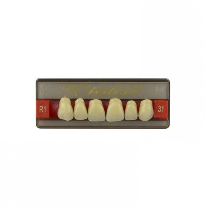 Estetic zęby akrylowe przednie górne fason 31, kolor R1, 6 szt.