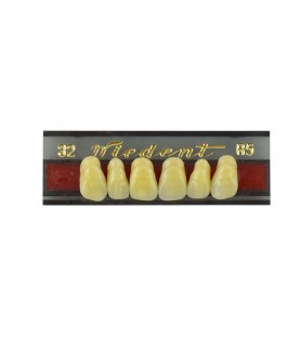 Estetic zęby akrylowe przednie górne fason 32, kolor R5, 6 szt.