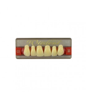 Estetic zęby akrylowe przednie górne fason 33, kolor G3, 6 szt.