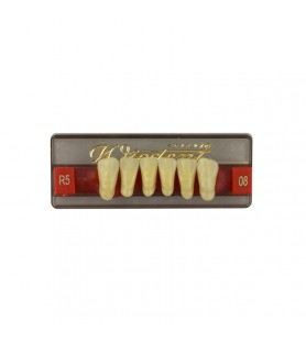 Estetic zęby akrylowe przednie dolne fason 08, kolor R5, 6 szt.