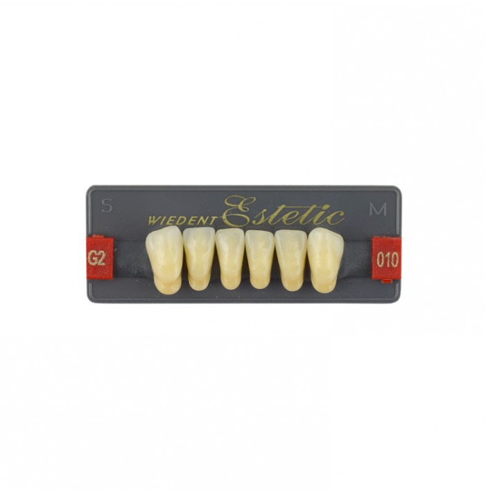 Estetic zęby akrylowe przednie dolne fason 010, kolor G2, 6 szt.