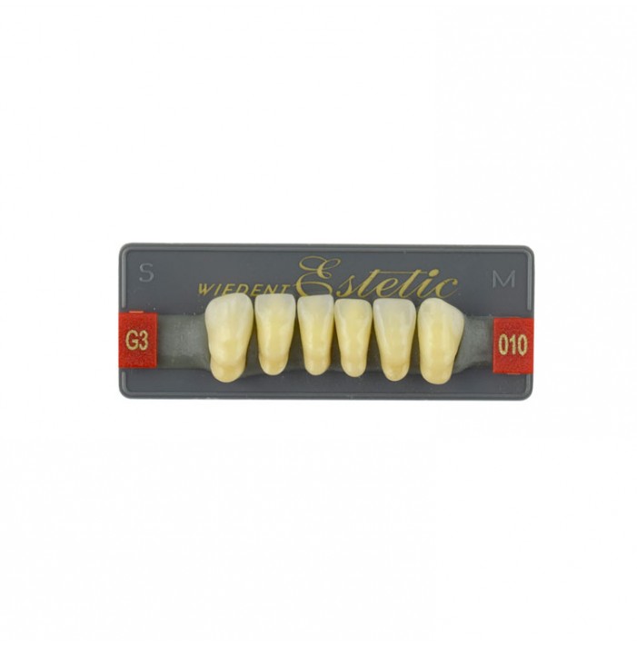 Estetic zęby akrylowe przednie dolne fason 010, kolor G3, 6 szt.