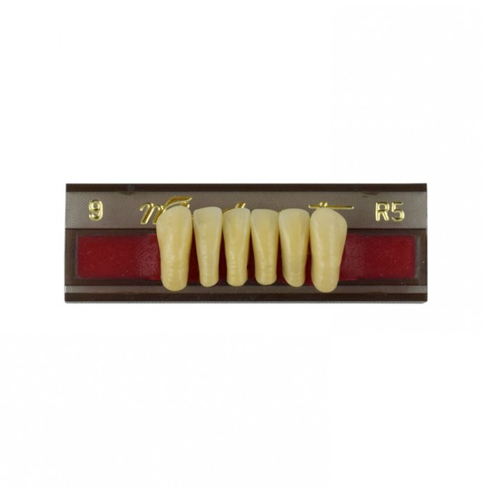 Estetic zęby akrylowe przednie dolne fason 09, kolor R5, 6 szt.