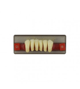 Estetic zęby akrylowe przednie dolne fason 09, kolor G1, 6 szt.