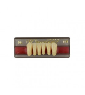 Estetic zęby akrylowe przednie dolne fason 09, kolor N2, 6 szt.