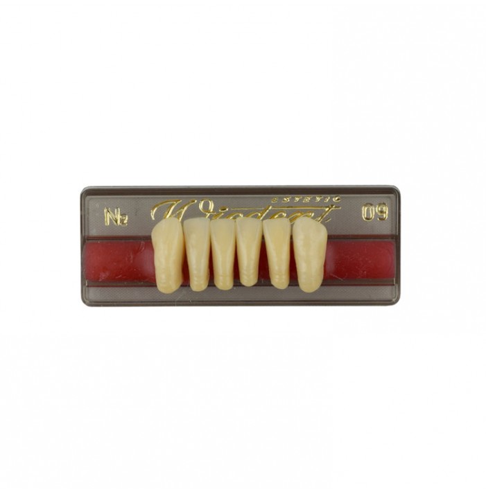 Estetic zęby akrylowe przednie dolne fason 09, kolor N2, 6 szt.