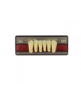 Estetic zęby akrylowe przednie dolne fason 09, kolor R3, 6 szt.