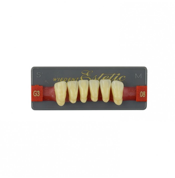 Estetic zęby akrylowe przednie dolne fason 08, kolor G3, 6 szt.