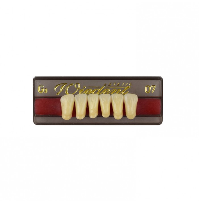 Estetic zęby akrylowe przednie dolne fason 07, kolor G3, 6 szt.