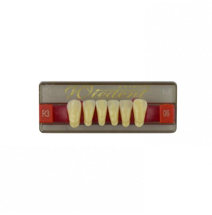 Estetic zęby akrylowe przednie dolne fason 06, kolor R3, 6 szt.