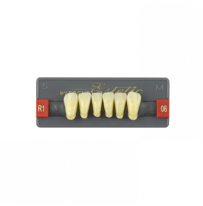 Estetic zęby akrylowe przednie dolne fason 06, kolor R1, 6 szt.