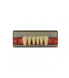 Estetic zęby akrylowe przednie dolne fason 06, kolor N2, 6 szt.