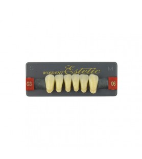 Estetic zęby akrylowe przednie dolne fason 06, kolor G3, 6 szt.