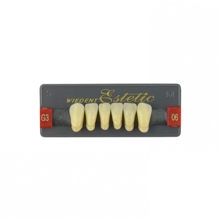 Estetic zęby akrylowe przednie dolne fason 06, kolor G3, 6 szt.