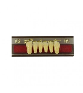 Estetic zęby akrylowe przednie dolne fason 05, kolor R5, 6 szt.