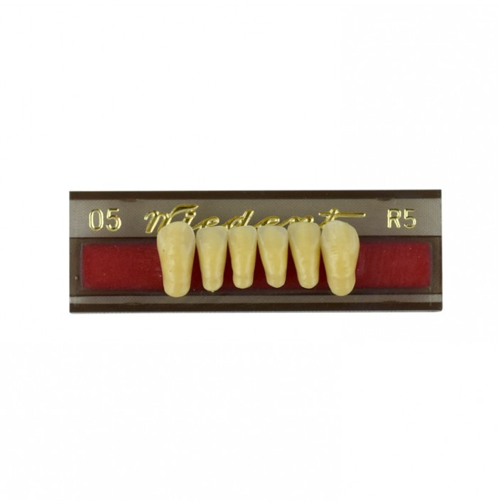 Estetic zęby akrylowe przednie dolne fason 05, kolor R5, 6 szt.
