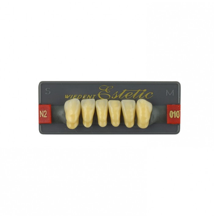 Estetic zęby akrylowe przednie dolne fason 010, kolor N2, 6 szt.