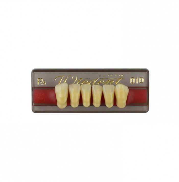 Estetic zęby akrylowe przednie dolne fason 010, kolor R5, 6 szt.