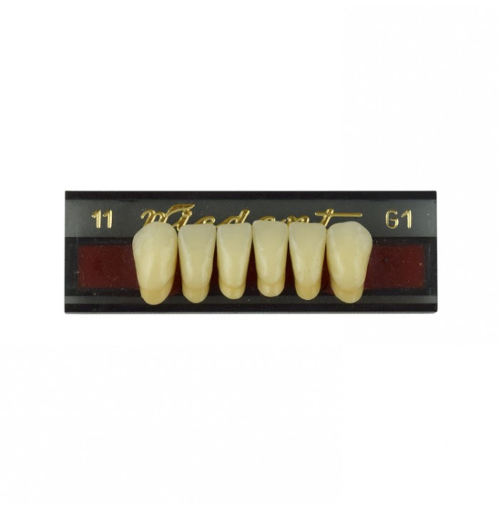 Estetic zęby akrylowe przednie dolne fason 011, kolor G1, 6 szt.
