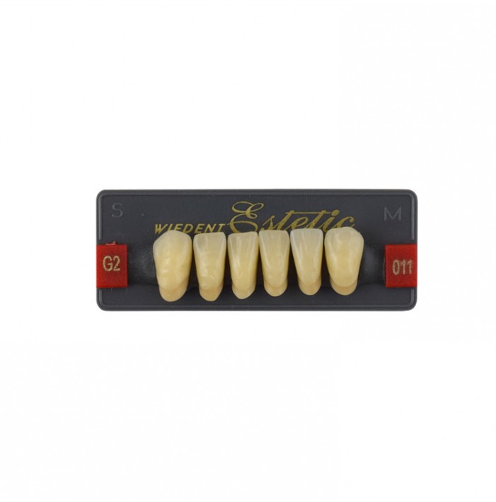 Estetic zęby akrylowe przednie dolne fason 011, kolor G2, 6 szt.