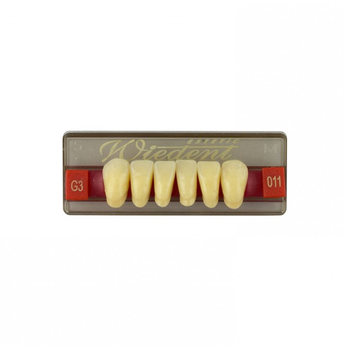 Estetic zęby akrylowe przednie dolne fason 011, kolor G3, 6 szt.