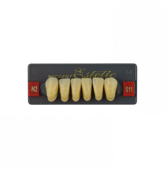 Estetic zęby akrylowe przednie dolne fason 011, kolor N2, 6 szt.