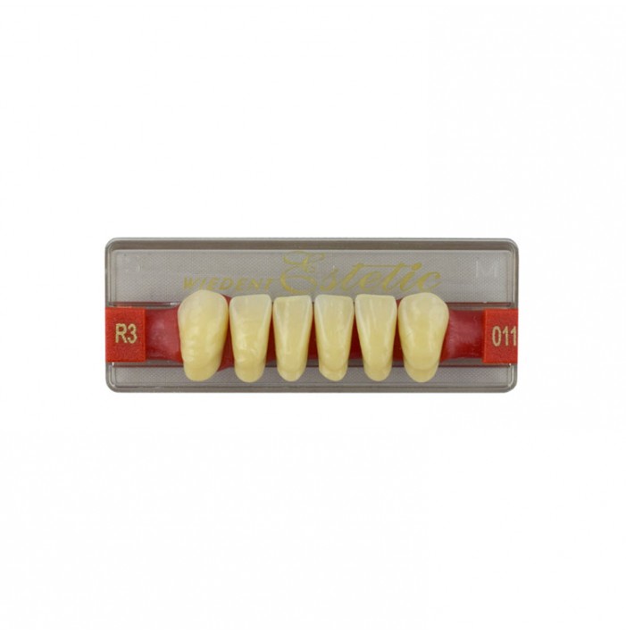 Estetic zęby akrylowe przednie dolne fason 011, kolor R3, 6 szt.
