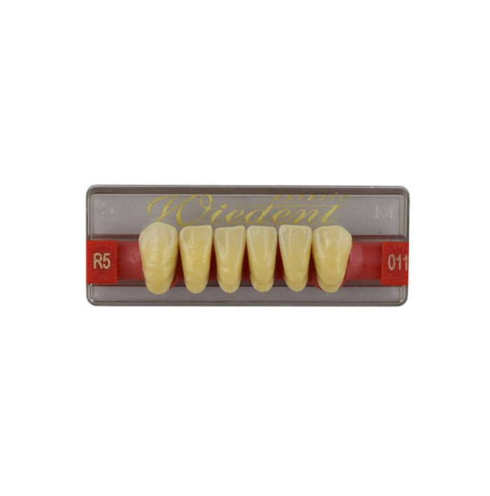 Estetic zęby akrylowe przednie dolne fason 011, kolor R5, 6 szt.