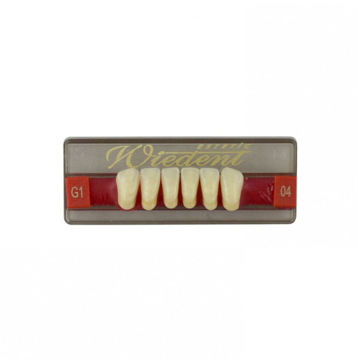 Estetic zęby akrylowe przednie dolne fason 04, kolor G1, 6 szt.
