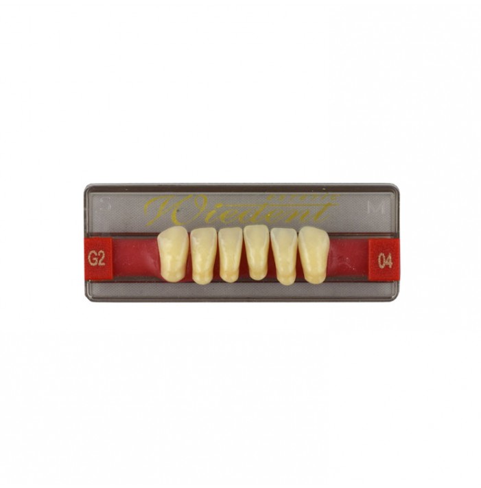 Estetic zęby akrylowe przednie dolne fason 04, kolor G2, 6 szt.