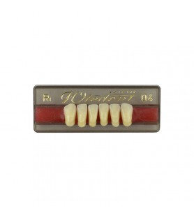 Estetic zęby akrylowe przednie dolne fason 04, kolor R1, 6 szt.