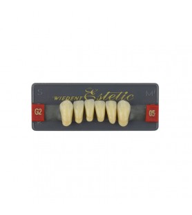 Estetic zęby akrylowe przednie dolne fason 05, kolor G2, 6 szt.
