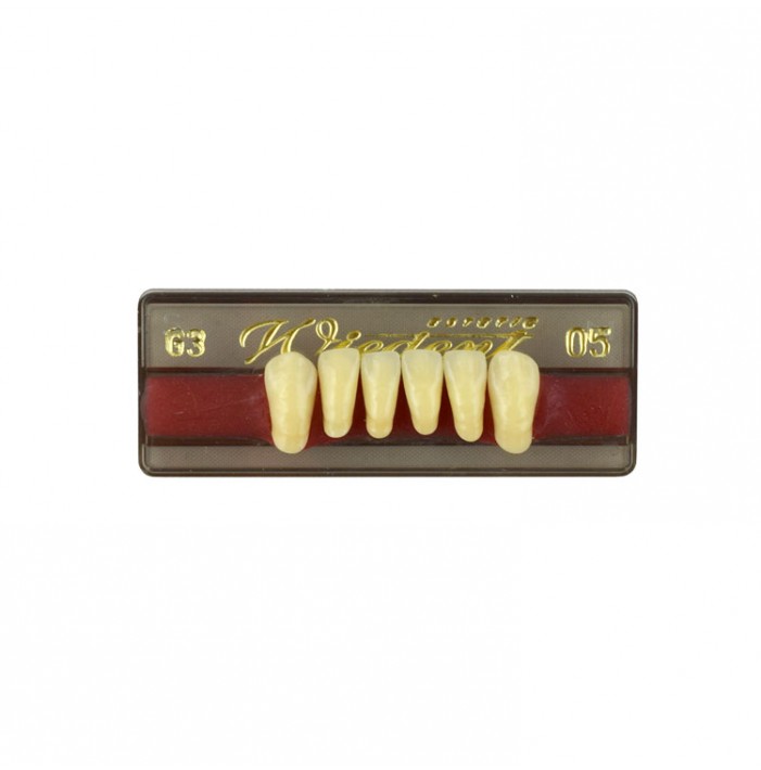Estetic zęby akrylowe przednie dolne fason 05, kolor G3, 6 szt.