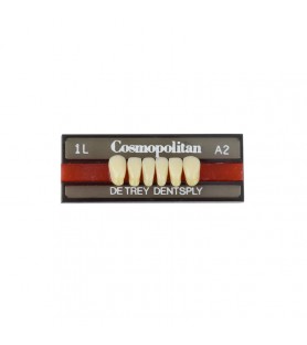 Cosmopolitan zęby akrylowe przednie dolne 1L, kolor A2, 6 szt.
