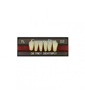 Cosmopolitan zęby akrylowe przednie dolne 7L, kolor D2, 6 szt.