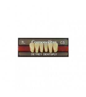 Cosmopolitan zęby akrylowe przednie dolne 7L, kolor C3, 6 szt.