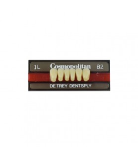 Cosmopolitan zęby akrylowe przednie dolne 1L, kolor B2, 6 szt.
