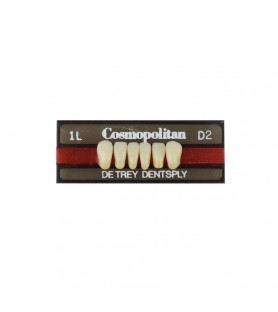 Cosmopolitan zęby akrylowe przednie dolne 1L, kolor D2, 6 szt.