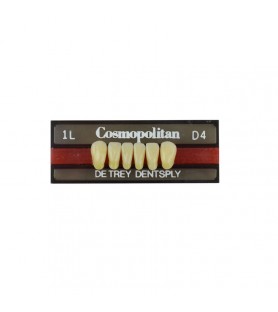 Cosmopolitan zęby akrylowe przednie dolne 1L, kolor D4, 6 szt.