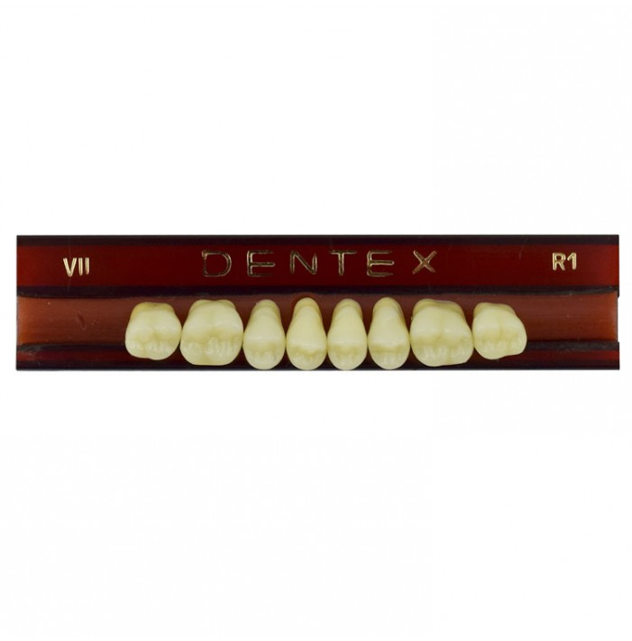 Zęby akrylowe boczne górne VII, kolor R1, 8 szt.