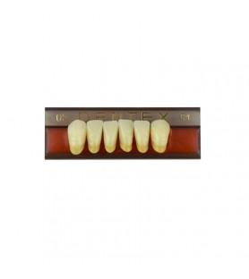 Zęby akrylowe przednie dolne 05, kolor R1, 6 szt.