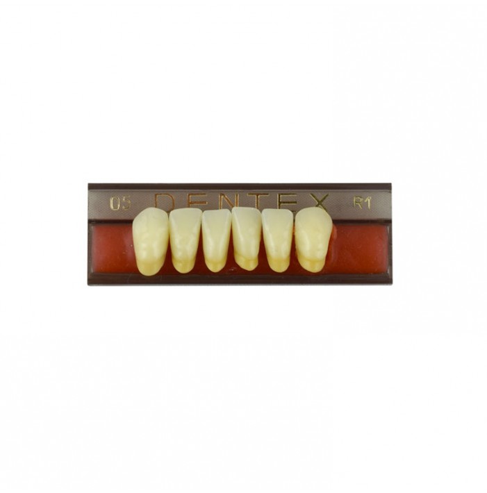 Zęby akrylowe przednie dolne 05, kolor R1, 6 szt.