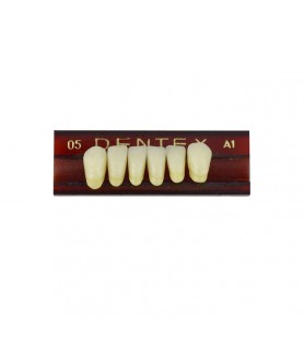 Zęby akrylowe przednie dolne 05, kolor A1, 6 szt.