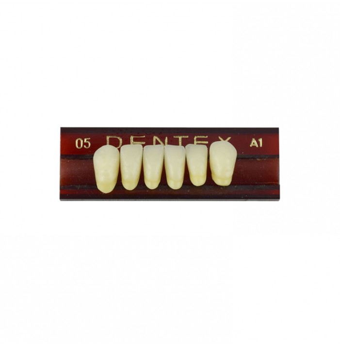 Zęby akrylowe przednie dolne 05, kolor A1, 6 szt.