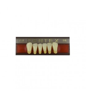 Zęby akrylowe przednie dolne 04, kolor R1, 6 szt.