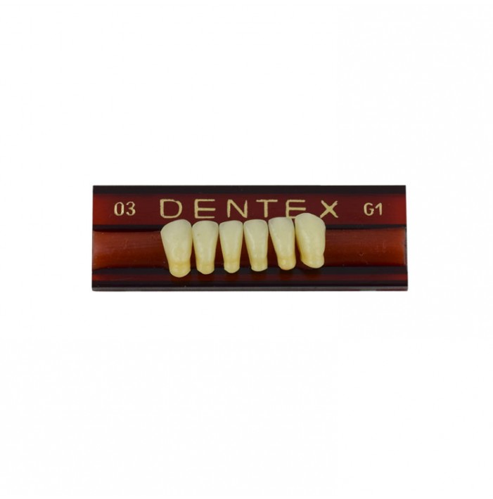 Zęby akrylowe przednie dolne 03, kolor G1, 6 szt.