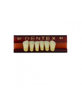 Zęby akrylowe przednie dolne 02, kolor R1, 6 szt.