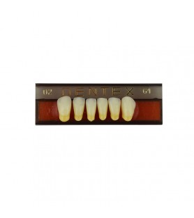 Zęby akrylowe przednie dolne 02, kolor G1, 6 szt.
