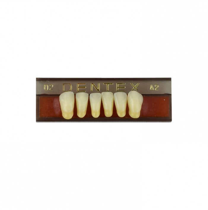 Zęby akrylowe przednie dolne 02, kolor A2, 6 szt.